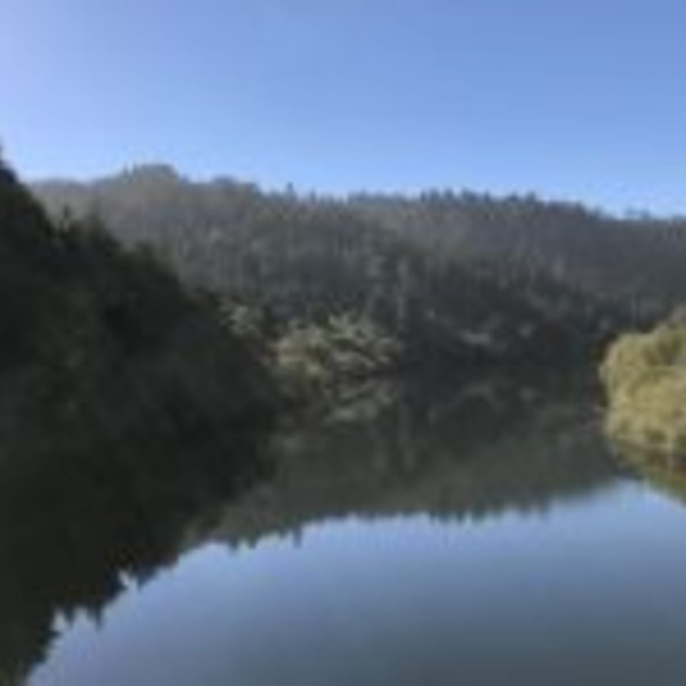A calm body of water reflects a clear blue sky and lush green, tree-covered hills under sunlight.